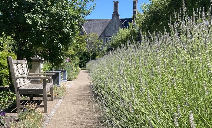 Cowbridge Physic Garden